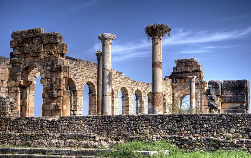 excursion volubilis and meknes day tour from fez